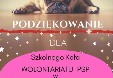 Odwiedziny w Schronisku dla psów